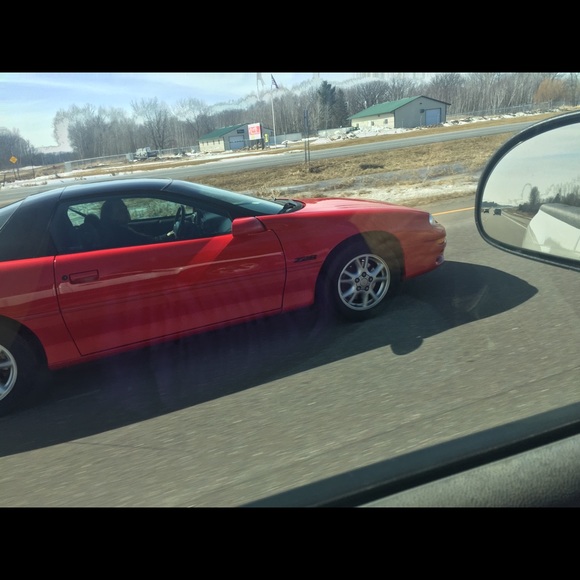 Meet your Posher, Tandy - Picture 4 of 4